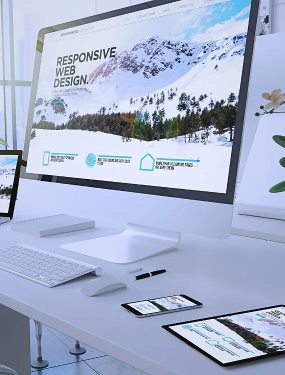 Web Design & Development